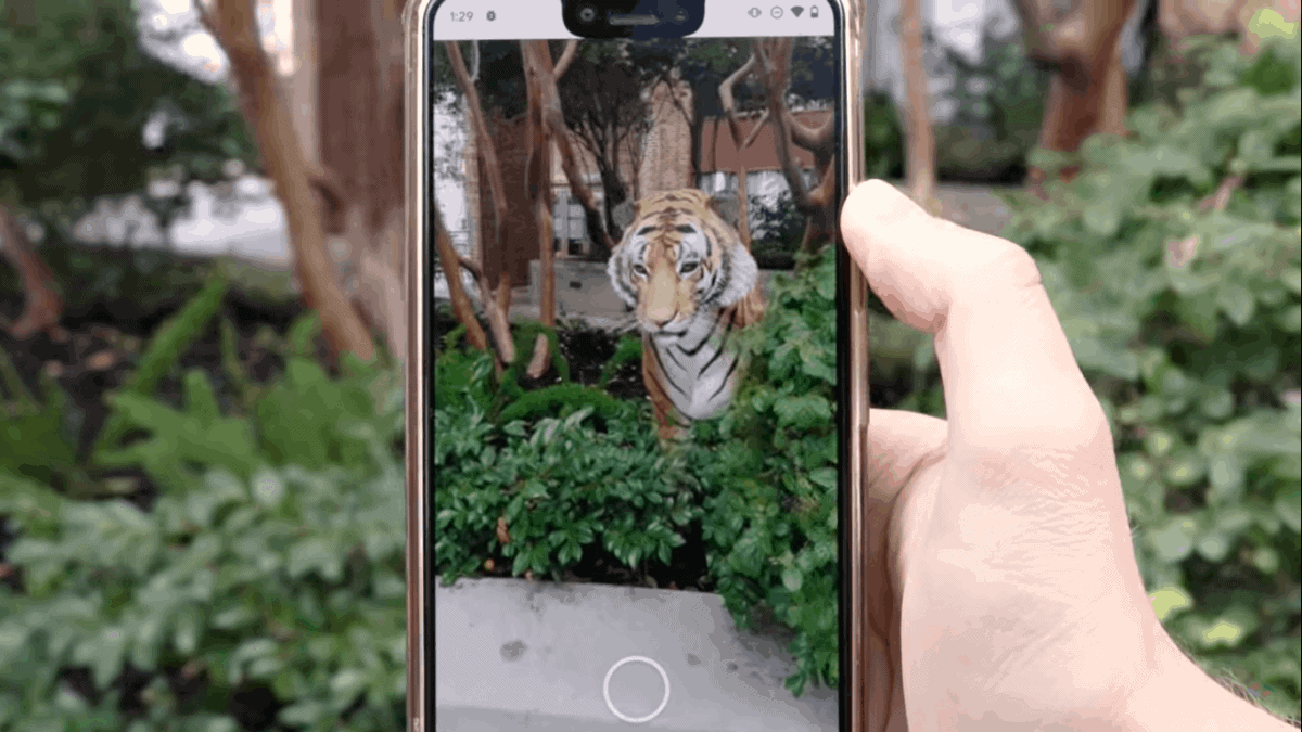 Todos los animales 3D de Google que puedes ver en tu propia casa y cómo hacerlo