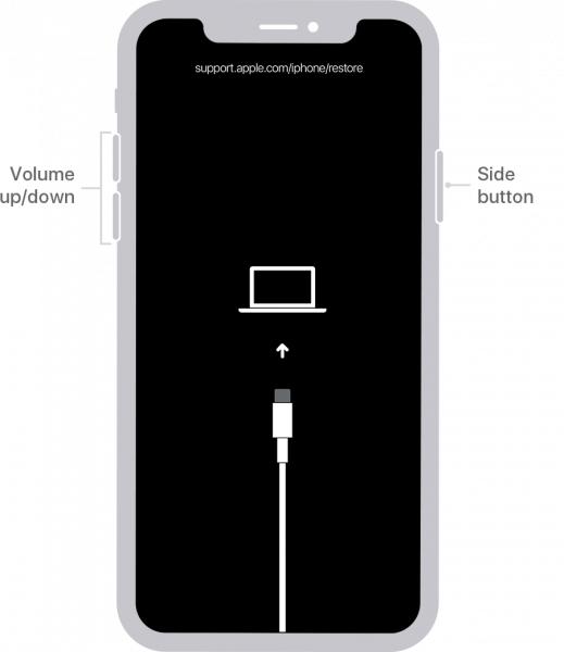 iPhone 7, 7 Plus y iPod Touch de séptima generación