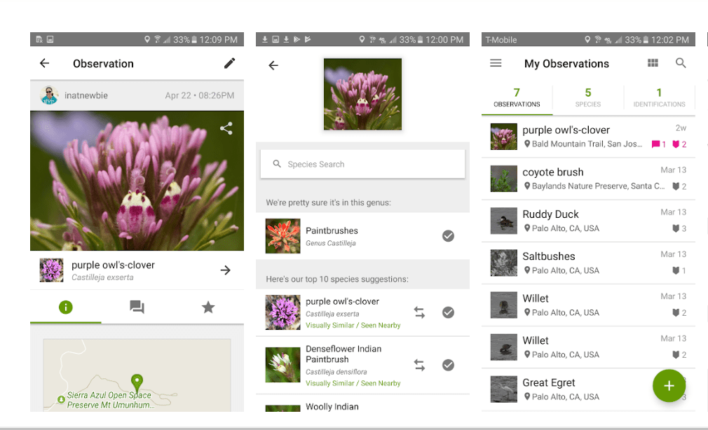 Tres capturas de pantalla de tablero diferentes de iNaturalist, una de las mejores aplicaciones de senderismo