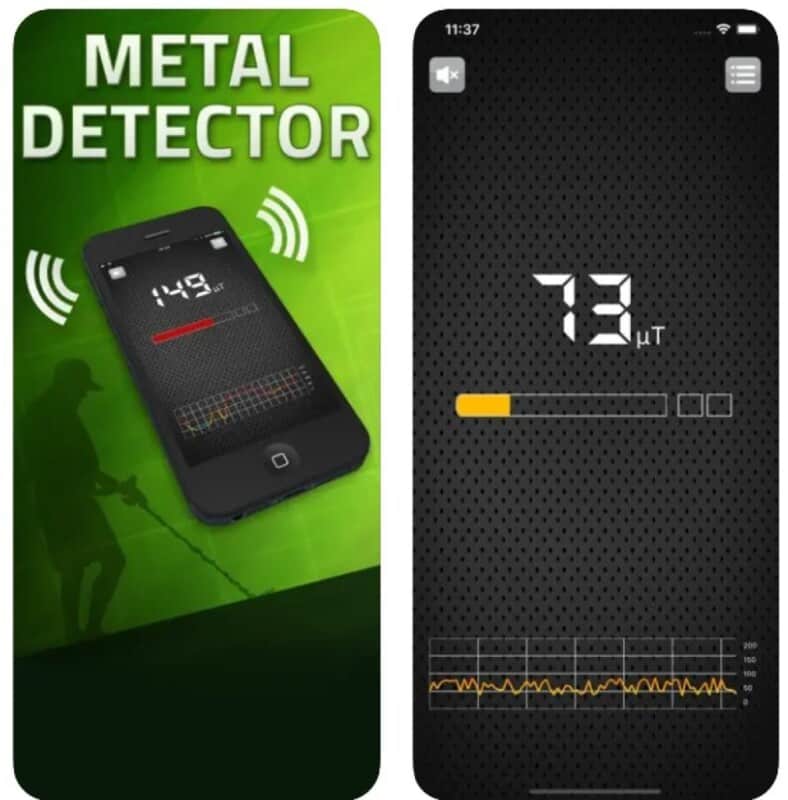 Detector de metales EMF1